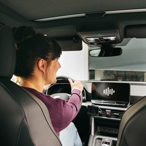 Voice assistant: Open de poort
