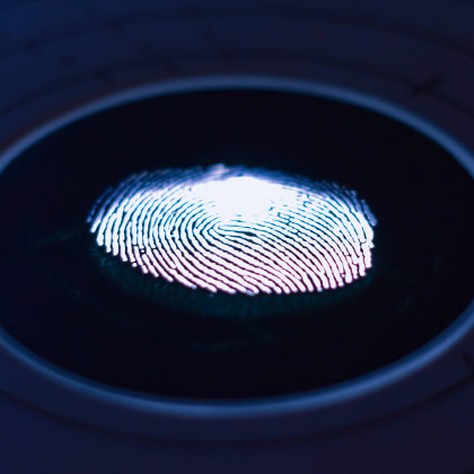 ekey fingerprint
