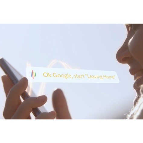 Voice assistant 